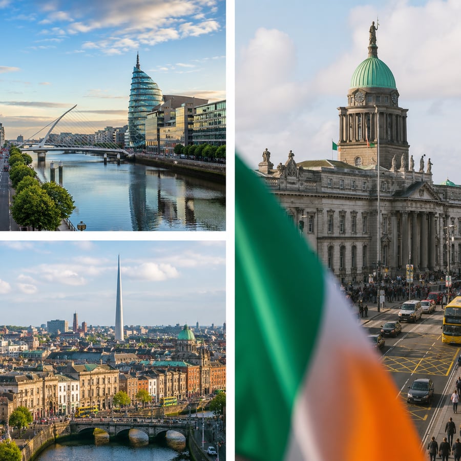 Polish Business Ireland